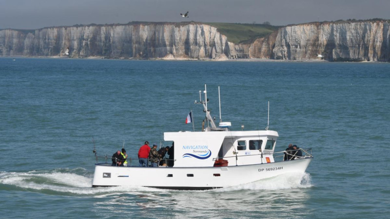 ANGE-DE-MER.jpg